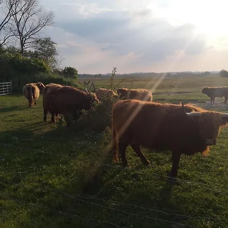 Meeresblick-strandkoerbchen Haus 2 , We 19 ホーヴァハト